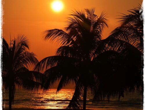 tropical moon rise full moon party