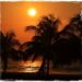 tropical moon rise full moon party