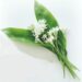 wild garlic leaves and flowers