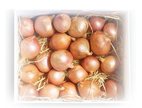 shallots