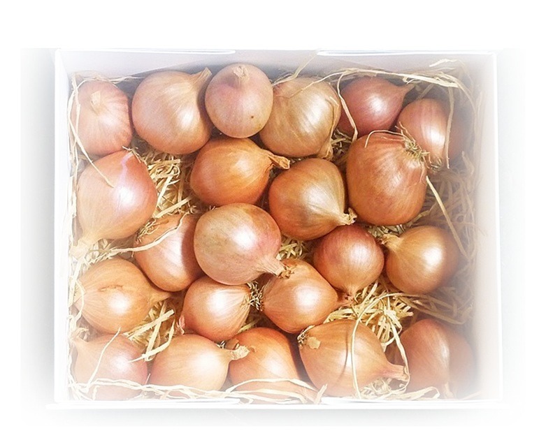 shallots