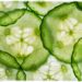 sliced cucumbers