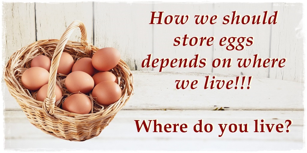 How to Store Eggs, Cooking Methods plus a Stupid One! Sudden Lunch!