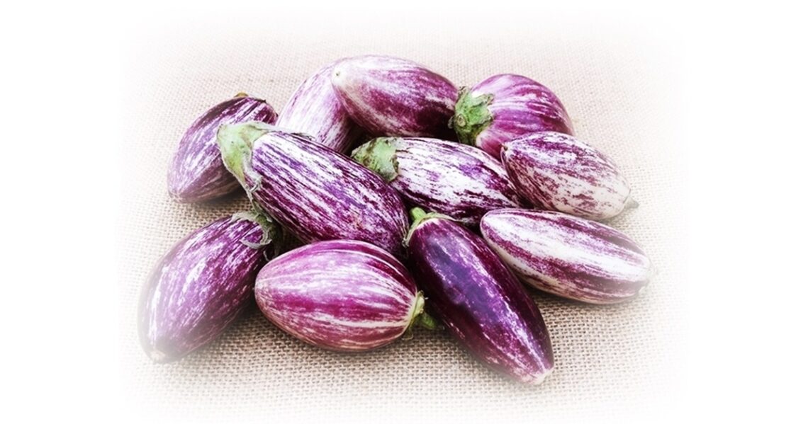 aubergines aka eggplants