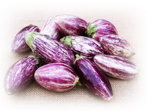 aubergines aka eggplants