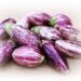 aubergines aka eggplants