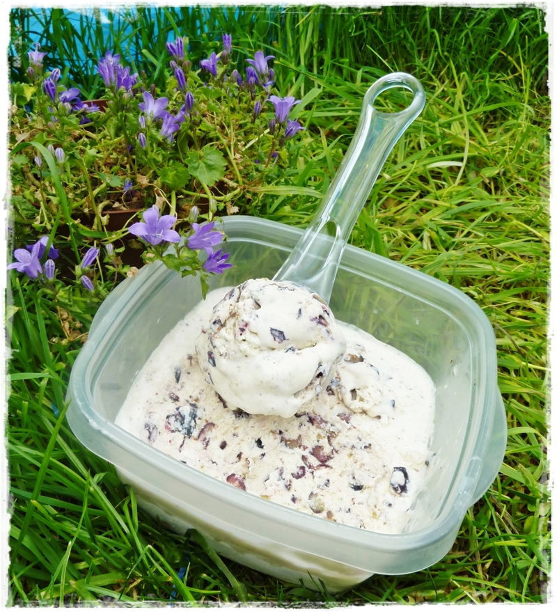 Leftover Ice Cream (!) and what to do with it Sudden Lunch!