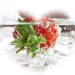 frozen strawberry to cool drink
