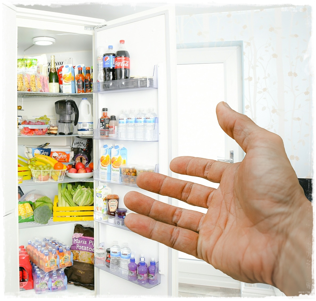 How to Store Leftovers Safely what a good idea! Sudden Lunch!