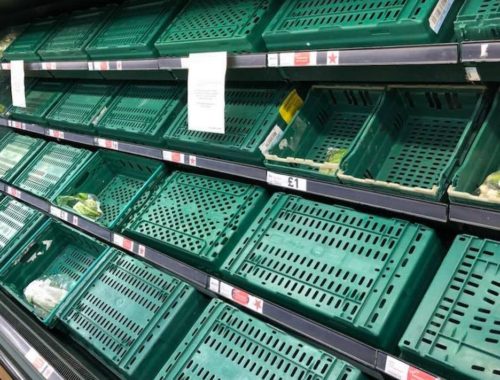 empty shelves
