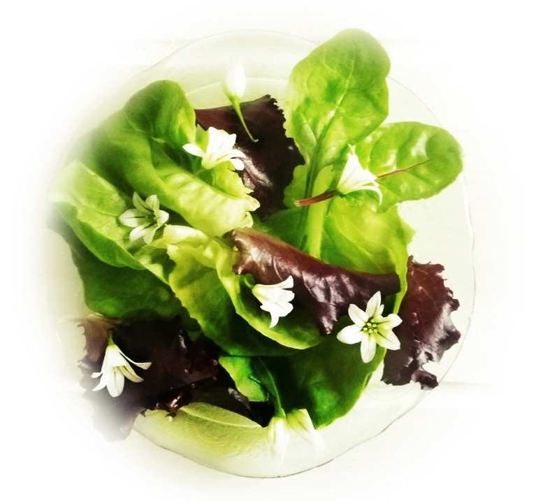 three cornered leeks salad
