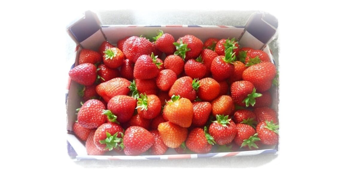 lots of strawberries