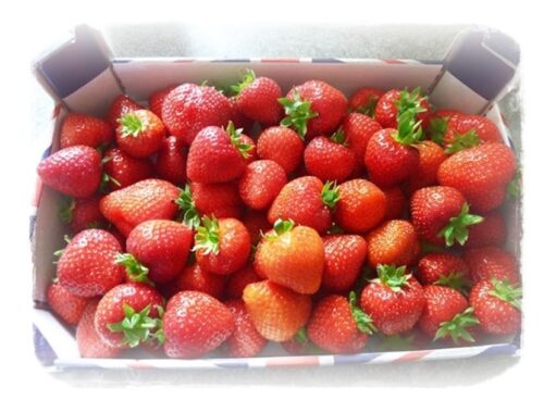 lots of strawberries