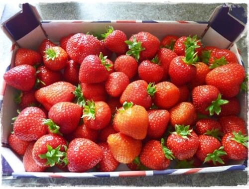 big box of fresh strawberries