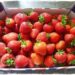 big box of fresh strawberries