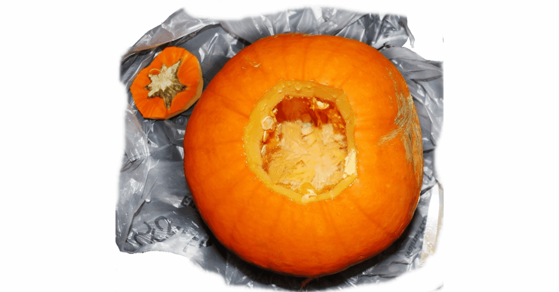 hollowed out pumpkin