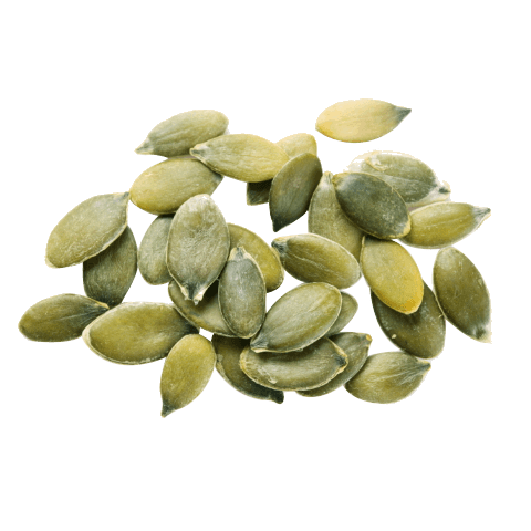 pumpkin seeds