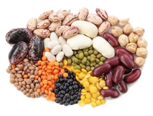 various beans and lentils