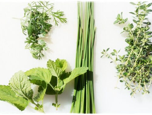 fresh herbs for food pairing
