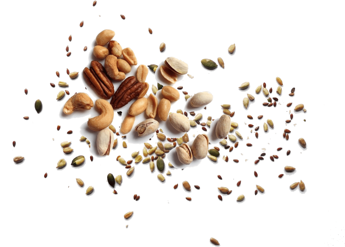 seeds and nuts