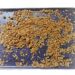 homemade granola