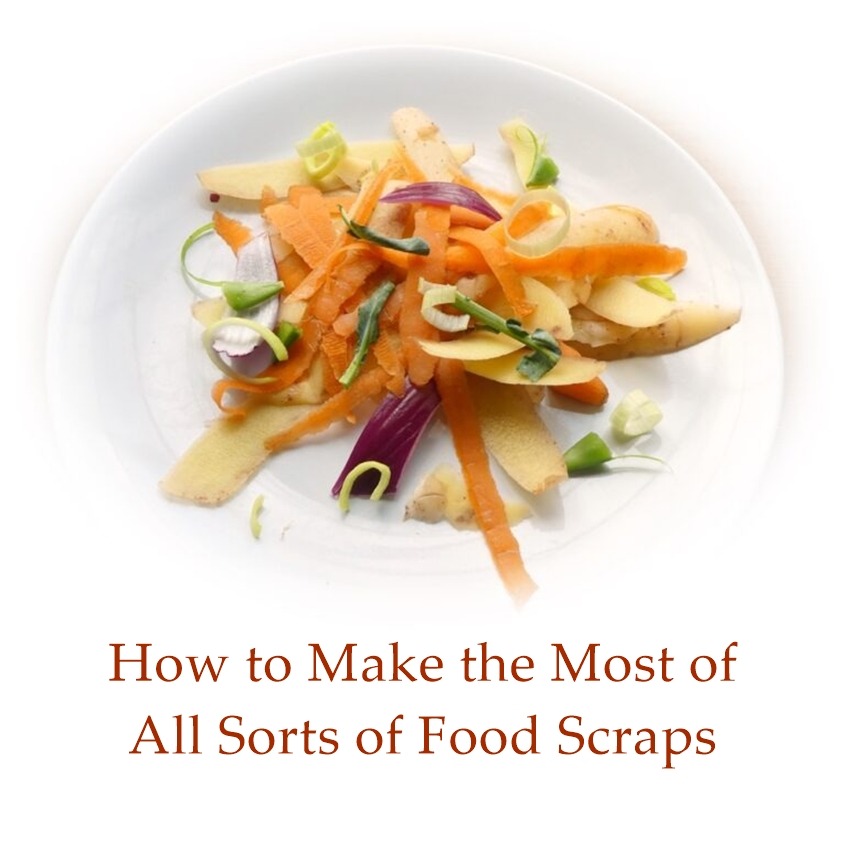 food scraps